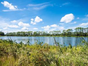 a body of water with trees in the background at SWISS 14 - Lake Stephanie in Clermont +20 photos
