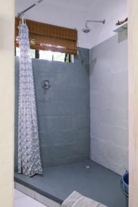 a shower in a bathroom with a shower curtain at Canary Cottage in Greyton +18 photos