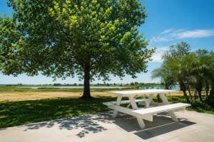 a picnic table under a tree in a park at ROOM 04 - Lake Sumner in Clermont +2 photos