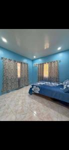 a bedroom with a bed in a room with blue walls at Dorz Inn in Moalboal