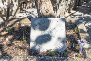 a sign with a bunch of grapes on it next to a tree at Gazdinstvo Vukanović - Kuća za odmor in Trebinje