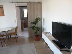 a living room with a television and a table with a plant at Appartement Fort Lamalgue in Toulon