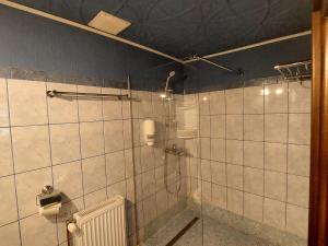a tiled bathroom with a shower and a radiator at Casa Anomis in Călimăneşti +14 photos