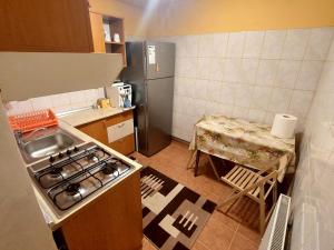 a small kitchen with a stove and a sink at Casa Anomis in Călimăneşti