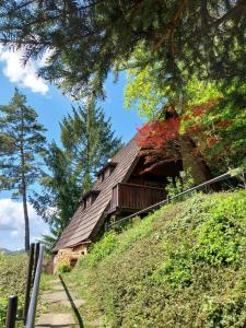 a house on top of a hill with trees at Chata Huslenky in Huslenky