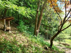 a wooden bench sitting on the side of a forest at Chata Huslenky in Huslenky