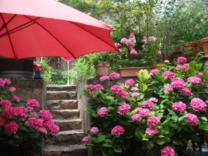 a red umbrella over a bunch of pink flowers at Chez Julia in Puycelci +8 photos