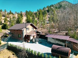 an aerial view of a house in the mountains at Cabana Vasc in Borsa