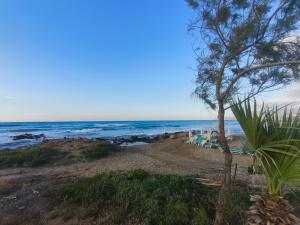 a beach with chairs and a tree and the ocean at Ermioni Luxury Suite Beachfront 1 minute from the beach in Stalida
