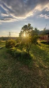 a tree in a field with the sun behind it at Suite na Natureza com Café da Manhã in São Pedro