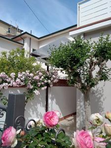 a tree with pink flowers in front of a house at Da' Mi ' Nonni in Viareggio