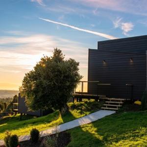 a black building with a tree in front of it at Volcano Suites in Puyehue