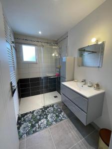 a bathroom with a shower and a sink and a mirror at Charmante maison neuve proche Ocean in Léon +8 photos