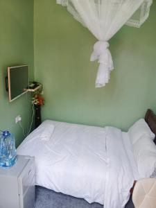 a bedroom with a white bed with a curtain on the wall at Amazing Grace Home - Oyugis studio in Oyugis