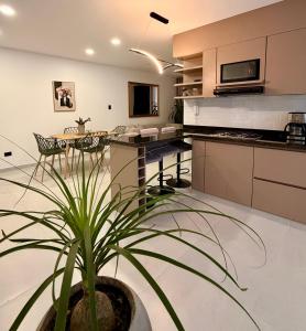 a kitchen with a potted plant in a room at Casa Martina premiun in Buga