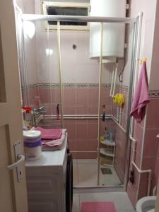 a bathroom with a shower with pink tiles at Apartman Markovic in Vranje