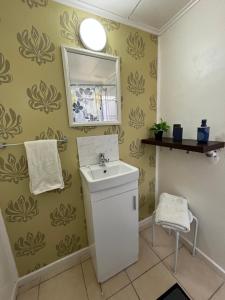 a bathroom with a sink and a mirror at Caiquén Cabaña Punta Arenas in El Cerrillo