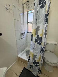 a bathroom with a toilet and a shower curtain at Caiquén Cabaña Punta Arenas in El Cerrillo +8 photos