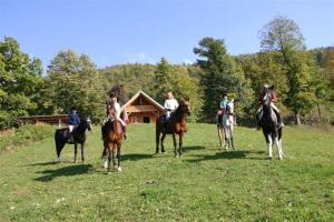 a group of people riding horses in a field at Rooms Zima in Žirovnica