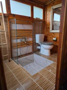 a bathroom with a toilet and a glass shower at Wooden House at the Mountain-private in Paránimfoi +55 photos