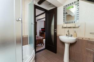 ein Badezimmer mit Waschbecken, Dusche und Toilette in der Unterkunft Casa Dudu in Moieciu de Jos + 109 Fotos