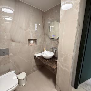 a bathroom with a sink and a toilet and a mirror at Heritage Hall and More in Nagykálló +15 photos