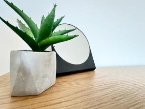 a plant sitting on a table next to a mirror at Rab City Apartment Greeny in Rab +42 photos