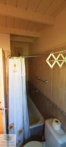 a bathroom with a toilet and a tub and a shower at Duplex in Pinamar