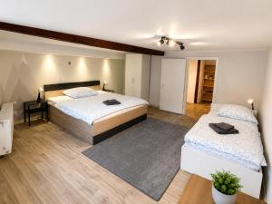 a bedroom with two beds in a room at Gemütliche Ferienwohnung in Hackenheim