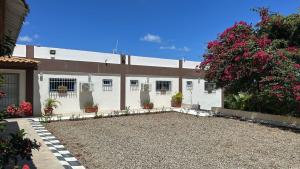 a white building with potted plants in a yard at Hotel Rosangel in Estero Hondo +7 photos
