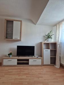 a living room with a flat screen tv at Familienwohnung Bella in Pirmasens