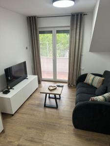 a living room with a couch and a tv and a table at Green river apartments in Lancovo