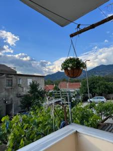 a view from the balcony of a house with a plant at Guest House Dimos Kristi in Përmet