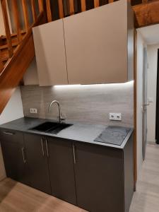 a kitchen with a sink and a counter top at Chorni vivtsi in Chernivtsi