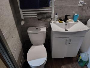 a bathroom with a white toilet and a sink at Chelm Spoko Apartment in Chełm
