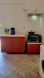 a kitchen with a stove and a counter with a microwave at Studio Marianna & George in Plátanos