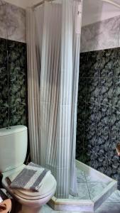 a bathroom with a toilet and a shower curtain at Studio Marianna & George in Plátanos