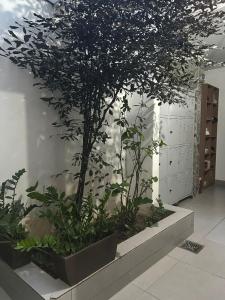 a large tree in a room with plants at Espaço Physis in Vila Velha