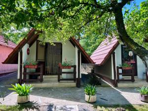 a house with potted plants on the front of it at Camping Lukač in Kutina