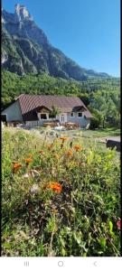 a house in a field with flowers in the foreground at Hostel Sherifaj in Valbonë