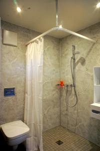 a bathroom with a shower with a toilet and a shower curtain at Ferienhäuser Ilsensee Schillingsfürst in Schillingsfürst