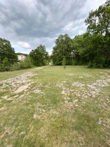 an open field with white flowers in the grass at Kovač Home in Posušje +9 photos