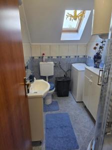 a bathroom with a toilet and a sink and a window at Apartman Gorski raj in Fužine +9 photos