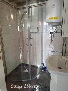 a shower with a glass door next to a sink at Ellas Brygga in Karlskrona
