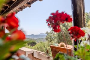a room with a window with red flowers and a view at Charming Open Space in Costa Smeralda in Olbia