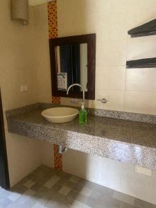 a bathroom counter with a sink and a mirror at Finca Panaca Jaguey 7 in Quimbaya +9 photos