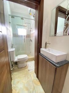 a bathroom with a sink and a toilet at D-SHA Apartments in Aja