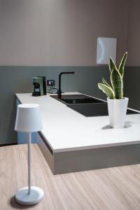 a plant in a pot on a kitchen counter at MEANDRI Apartment in San Severo