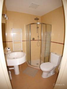 a bathroom with a shower and a toilet and a sink at Aladin Praha in Prague