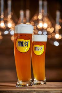 two glasses of beer sitting on a table at Hotel Harpf in Bressanone